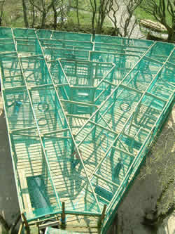 [3D maze]